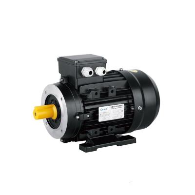 China IE1 MS Electric Motor / Totally Enclosed IE2 0.75 Kw Three Phase Electric Motor For Cutter for sale