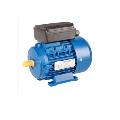 China 2800Rpm KW Totally Enclosed 1/4 1/2 Single Phase 120V 220V 500 Watt1.1Kw 2.2Kw 3Kw 1.5 1 1.5 2 Hp 1.5Hp 2Hp 3Hp AC Electric Motor for sale