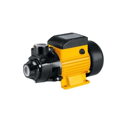 China Family Homes Quartermaster Clean Water 0.5hp Domestic Pump for sale