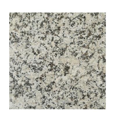 China Modern Natural Granite White Marble Flooring Tiles 60x60 40x80 For Kitchen Counter Tops Granite Stepping Stone for sale