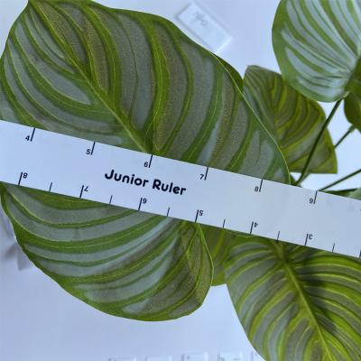 China Factory supply pp soft student ruler direct wholesale for sale