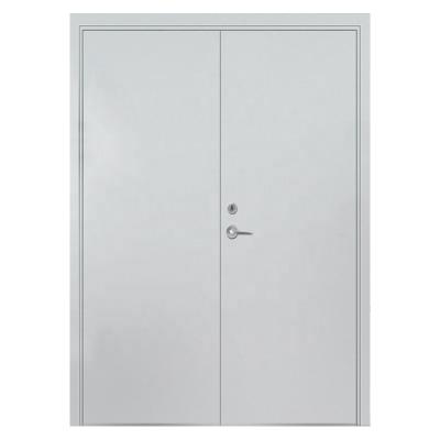 China Modern BS Certificate High Quality Steel Fire Proof Exit Door FP-D01 for sale