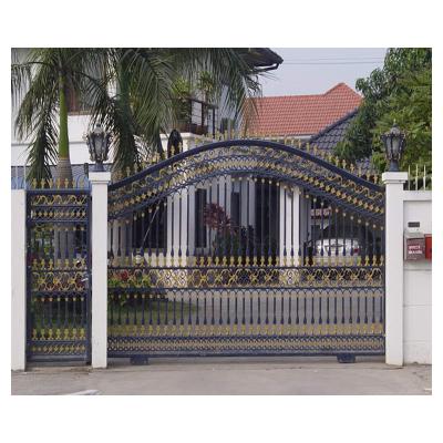 China Modern Brand New Decorative Iron Double Glass Doors for sale