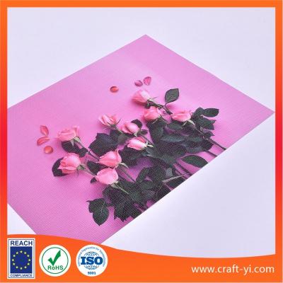 China Table Decoration with printing Textilene Place Mat 300 x450 mm Washable Table Mats , Heat Resistant PVC woven table mat for sale