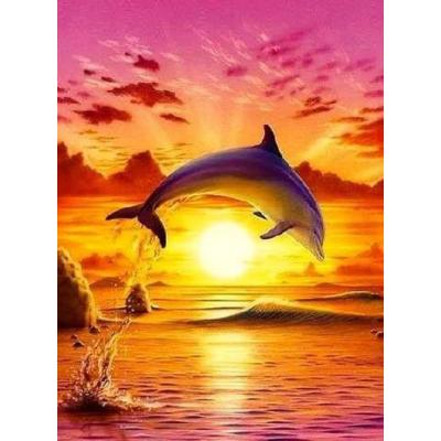 China Adult American-style diamond painting kit, full sea sunset DIY 5D diamond embroidery, very suitable for wall decoration home dolphins for sale