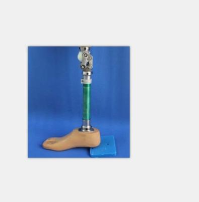 China Medical Adjustable Fixation Titanium Alloy Prosthetic Leg For Adult for sale