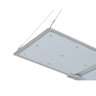 China New Products Garden LED Grow Light 100W 200W 400W Aluminum+PC+ Acrylic Indoor Factory High Lumen Dimmable for sale