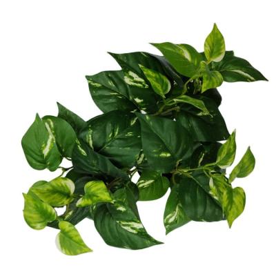 China High quality simulation ivy greenery vine plastic begonia leaves wall creeper scindapsus artificial golden plants for sale