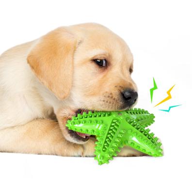 China Pet Voice Toy Starfish Shaped Dog Toy Starfish Shaped Dog Interactive Tending Interactive Toy for sale