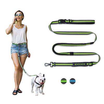 China Customized Thoughtful Bungee Tangle Free White Card Running Thoughtful Double Handle Dog Multifunctional Pet Leashes For Dogs for sale