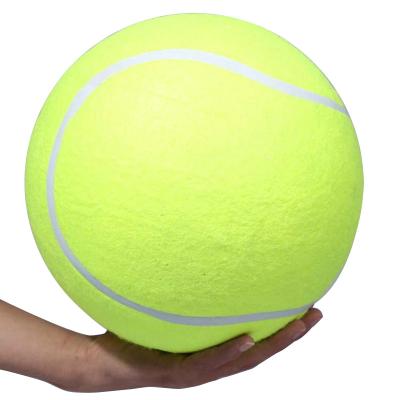 China Viable Giant Dog Launcher Game Training Toy Pet Tennis Ball For Dogs Large Dog Chewing Toothbrush Toy for sale