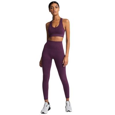 China New Breathable Wholesale Sports Bra Underwear Sports Seamless Tights Launch Yoga Clothing Fitness Vest for sale