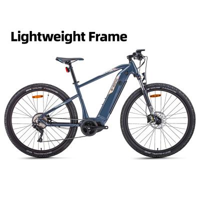 China Newest aluminum alloy EAGGO 3.3 29 inch alloy frame low price electric bike MTB mountain e bike electric reclined bicycles with hidden battery for sale