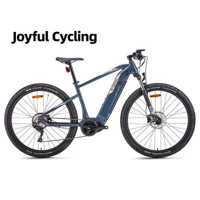 China Brand New Aluminum Alloy PS 10 Off Road EAGGO 3.3 Pedal Assist Electric Bike With High Quality Electric MTB ebike e Reclined Bicycles for sale