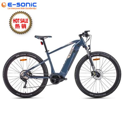 China Factory Direct Sale Aluminum Alloy 10 Inch EAGGO 3.3 Speed ​​Mountain Bike Off-Road Road Racing Electric Bicycle 29 With 6061 Alloy Frame for sale