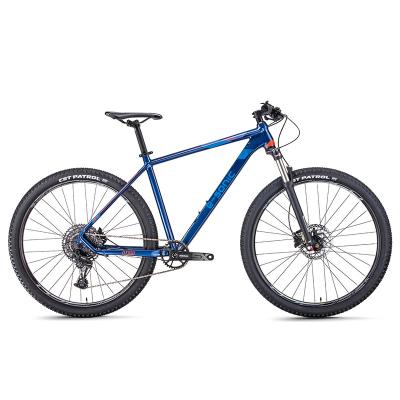 China Moutain PRO full 29 mtb 29 mtb 29 alloy 12 speed trinx mountain bike carbon fiber downhill mountain bike for sale