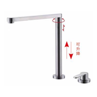 China Thermostatic Faucets Wash Down Holder Pull Down sus 304 Heater Poultry Cup Pigeon Bird Quail Chrome Pot Filler Sponge Holder Instant Splash Faucet for sale