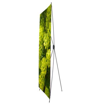 China Wholesale Classic Exhibition X Banner Stand//Exhibition Stand Portable X Banner Stand for sale