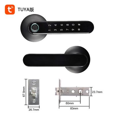 China Low Battery Reminder Door Lock Fingerprint Zinc Alloy Zinc Alloy Door Handle Keyless Digital Lock for sale