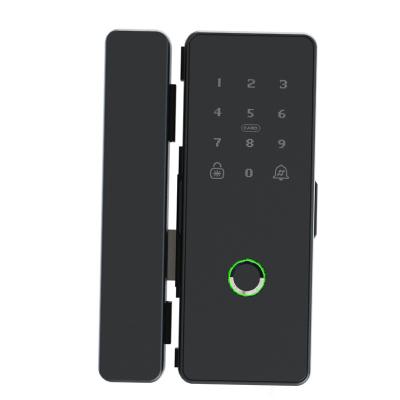 China Easy Use Electronic Glass Back and forth Smart Lock Smart Door Lock with Fingerprint for sale