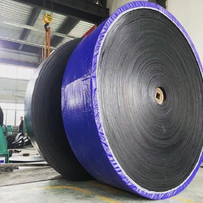 China UCER Bandwidth 300mm Black Nylon Conveyor Belts for sale