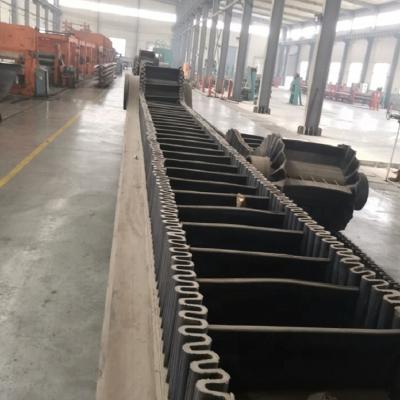 China EP100 EP150 EP200 Black 0-90 degrees Skirt Conveyor Belt for sale