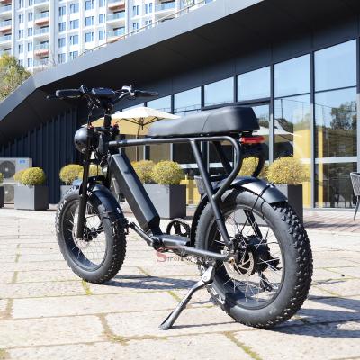 China Seat 750w 1000w unisex long tire electric bicycle fat bikes ebike electric mountain bike for sale for sale