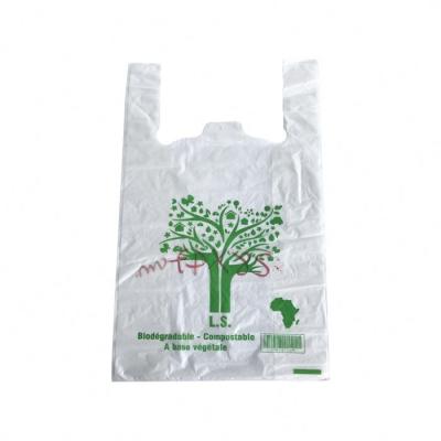 China 100% biodegradable compostable packaging plastic bag BIODEGRADABLE for sale