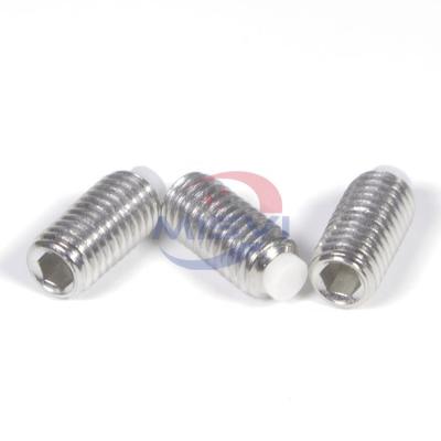 China Cylindrical Factory Supply SS304 M5 M6 M8 Hex Socket White Nylon Cylindric Grub Screws for sale