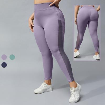 China Wholesale Breathable No Front Seam Mesh Spliced ​​Nylon Fitness Gym Tights Butt Lifted Women's Plus Size Yoga Gaiters 2022 for sale