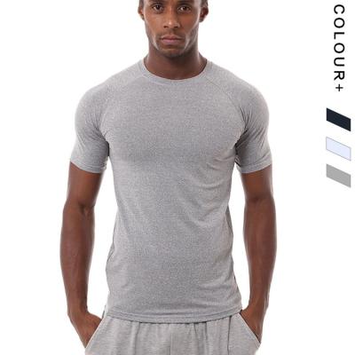 China S-XXL Tight Fit Short Sleeve Breathable Hot Selling Sports Shirts Wholesale Polyester Quick Dry Men's Fitness T-shirt for sale