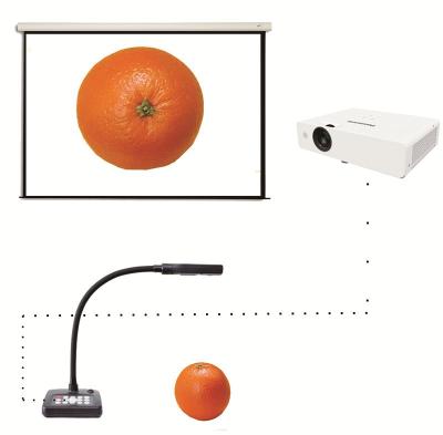 China Education Tranning Teaching Desk Classroom Visualizer HS-6200 A3 A4 Flexible Usb Document Camera for sale