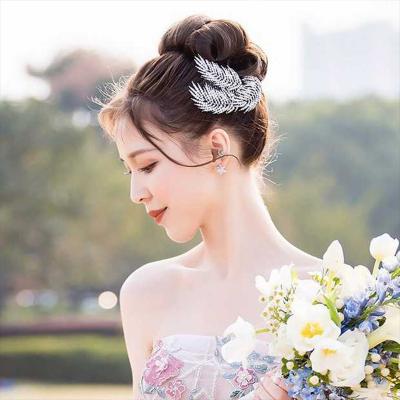 China Princess Bridal Tiaras And Bridal Headpiece Tiara Silver Wedding Hair Accessories Bridal Hair Accessories Crown With Comb DA301 BRIGHT for sale