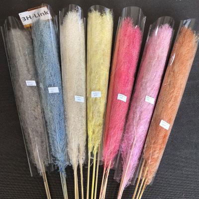 China Home Decor China Factory Wholesale OEM Newly Wedding Large Long Fluffy Wrapping Color Reed Pampas Grass Home Decor Dry Flower Pampas Grass Factory for sale