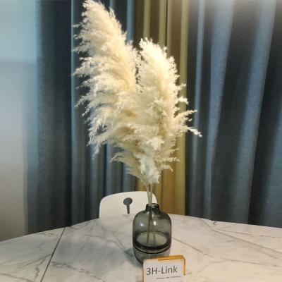 China Home Decor Hot Sale Natural Dry Decorative Black Artificial Pampas Grass Layout Great For Home Decor And Wedding Decor for sale