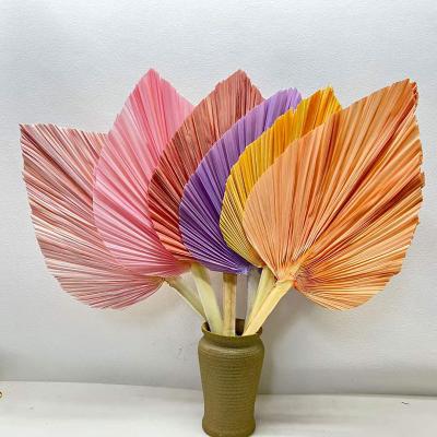 China Hot Selling Factory Wholesale Muti-shape Natural Touch Foliage Dried Flower Arrangement Natural Bleach Dyed Newly Preserved White Palm Leave for sale