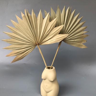 China Natural Touch Foliage Plant Arrow Fan Sun Dried Flower Arrangement Natural Bleach Dyed Newly Preserved White Palm Leaves for sale