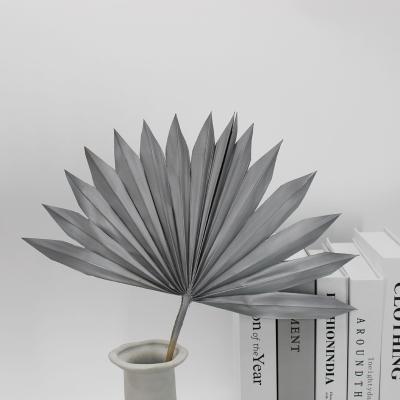 China Natural Touch Prarrow Fan Sun Dried Palm Leaf Palm Leaves Dried Floral Arrangement Natural Bleach Dyed Newly Preserved White Palm Leaves for sale