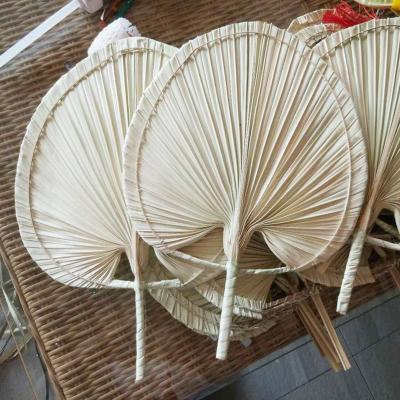 China Floral Sun Dry Shovel Fan Touch 3hlink Natural Handmade Nordic Dry Preserved Palm Leaves For Wall Decoration for sale