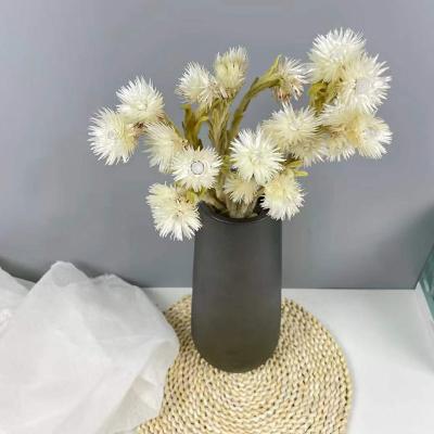 China Natural Touch Straw Rock Flower Pasque White Pink Preserved Dry Eternal Chrysanthemum Dried Flowers White Silver Daisy for sale