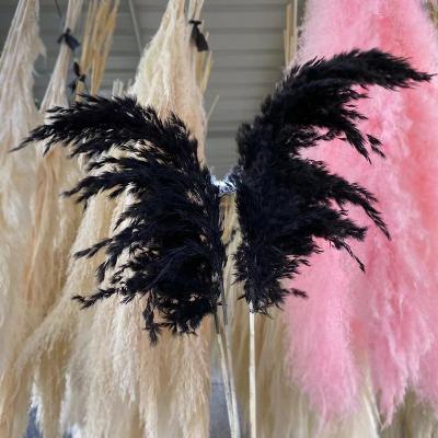 China Phragmites Natural Fluffy Feather Wedding Pampas Grass Touch Cafe Retro Home Decor Reed Marshes Dried Ponytail To Beat Decorative Dried Flowers for sale