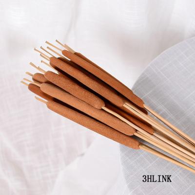 China Cattail branches preserved by natural touch dried natural jumbo angustifolia rush reedmace dry cattail papellia sticks flower for sale