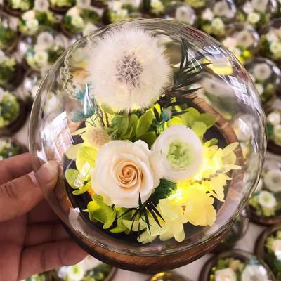 China 3hlink luxury little little prince live preserved real rainbow rose flowers in ornament glass dome cover with stabilizedweddingchristmas for sale