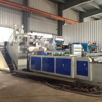 China Film Double Layer LLDPE Stretch Cinema Machine 500/1000/1500mm for sale