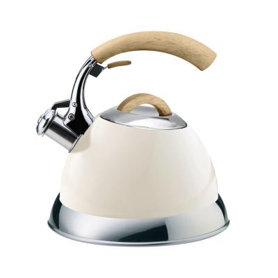 China Modern Favorable Nylon Tea Handle Tea Handle Stainless Steel Traditional Kettle Thermostat for sale