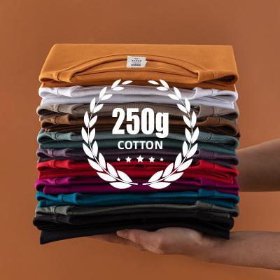 China Anti-Wrinkle High Quality Moq 250 Gsm Premium Loose Crew Neck Cotton T-shirt Heavyweight Basic Plain 100% Cotton Customize Blank T-shirt for sale