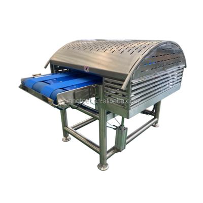 China Salmon. Horizontal Salmon Maker 2mm 3mm Chicken Breast Commercial Frozen Fish Cutting Beef 5mm Chicken Breast Slicer for sale