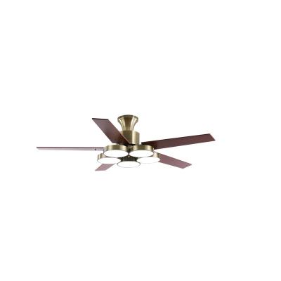 China Modern creative design decorative lighting ceiling fans with remote control lights for sale