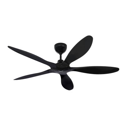 China Personalized Customized Industrial Needs Ceiling Fans With Lights Remote Control for sale