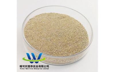 China High Purity L-Threonine 98.5% Powder Feed Grade Threonine with Customization for sale